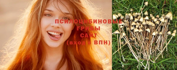 дурь Алексеевка