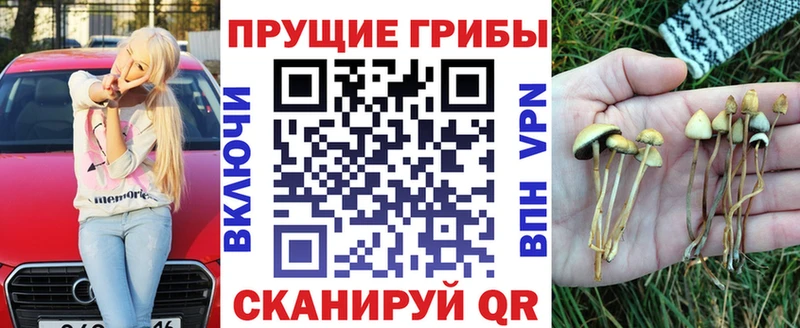 наркошоп  Жуковский  Псилоцибиновые грибы прущие грибы 