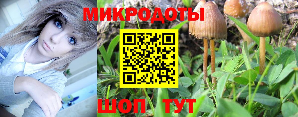 Галлюциногенные грибы Cubensis Жуковский